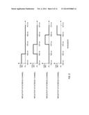 MULTIPLEXED FIBER OPTIC SENSING SYSTEM AND METHOD diagram and image