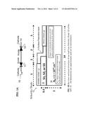 GROUP III NITRIDE SEMICONDUCTOR FREQUENCY MULTIPLIER AND METHOD THEREOF diagram and image