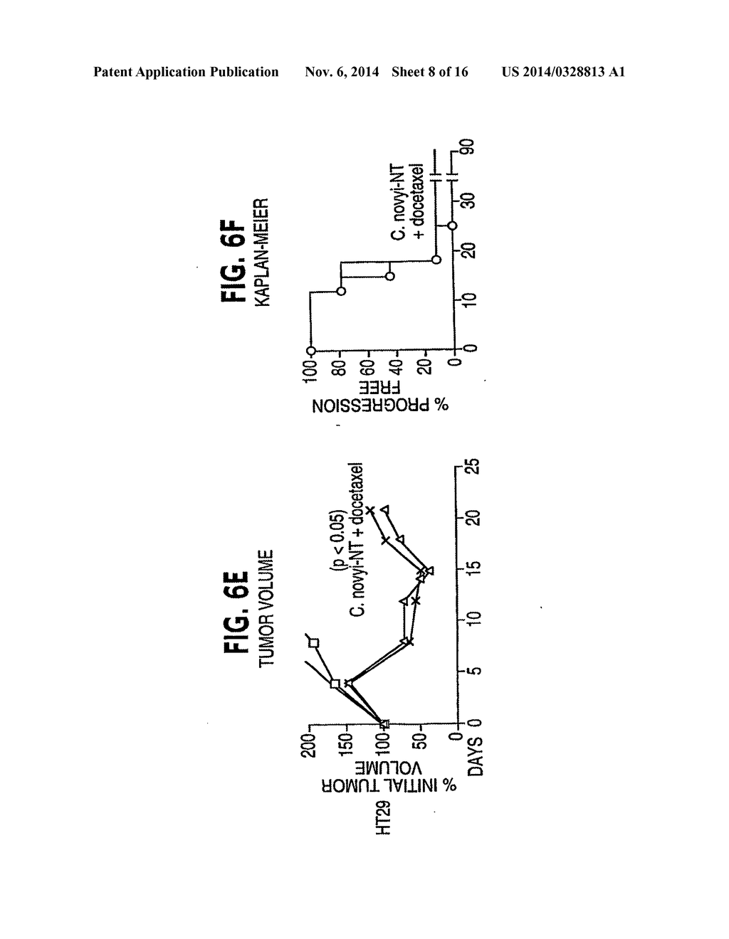 Combination Bacteriolytic Therapy for the Treatment of Tumors - diagram, schematic, and image 09