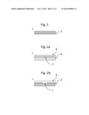 PACKAGED PROBIOTIC COMPOSITION AND USES THEREOF diagram and image