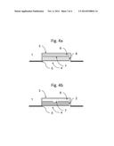 PACKAGED PROBIOTIC COMPOSITION AND USES THEREOF diagram and image