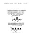 AGR2 BLOCKING ANTIBODY AND USE THEREOF diagram and image