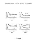 HER2/neu-Specific Antibodies and Methods of Using Same diagram and image