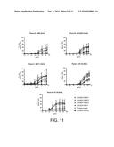 HER2/neu-Specific Antibodies and Methods of Using Same diagram and image