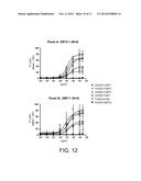 HER2/neu-Specific Antibodies and Methods of Using Same diagram and image