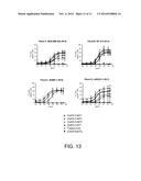 HER2/neu-Specific Antibodies and Methods of Using Same diagram and image