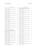 HER2/neu-Specific Antibodies and Methods of Using Same diagram and image