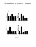 IMMUNOGENIC GLUTEN PEPTIDES AND USES THEREOF diagram and image