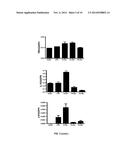 IMMUNOGENIC GLUTEN PEPTIDES AND USES THEREOF diagram and image