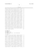 HYPOALLERGENIC VARIANTS OF PHL P 5, THE MAJOR ALLERGEN FROM PHLEUM     PRATENSE diagram and image