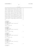 HYPOALLERGENIC VARIANTS OF PHL P 5, THE MAJOR ALLERGEN FROM PHLEUM     PRATENSE diagram and image