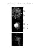 METHOD FOR PREPARING CROSSLINKED POLYELECTROLYTE MULTILAYER FILMS diagram and image