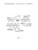 METHOD FOR PREPARING CROSSLINKED POLYELECTROLYTE MULTILAYER FILMS diagram and image