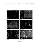 METHOD FOR PREPARING CROSSLINKED POLYELECTROLYTE MULTILAYER FILMS diagram and image