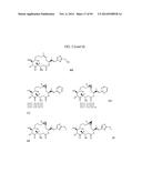 METHODS OF TREATING A SUBJECT AND RELATED PARTICLES, POLYMERS AND     COMPOSITIONS diagram and image