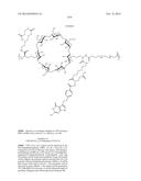 METHODS OF TREATING A SUBJECT AND RELATED PARTICLES, POLYMERS AND     COMPOSITIONS diagram and image