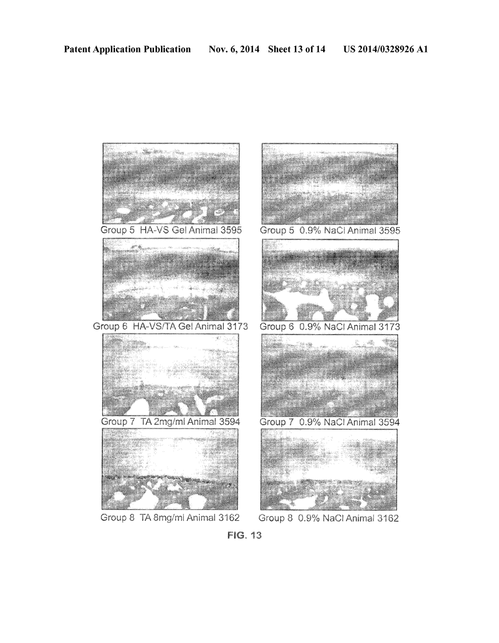 MODIFIED HYALURONIC ACID POLYMER COMPOSITIONS AND RELATED METHODS - diagram, schematic, and image 14