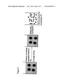 NOVEL FORMULATIONS AND METHODS diagram and image