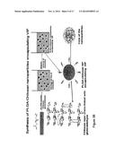 NOVEL FORMULATIONS AND METHODS diagram and image