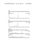 MORUS EXTRACTS RICH IN N-ACIDS OF IMINO SUGARS AND OR PIPECOLIC ACIDS diagram and image