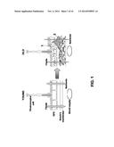 Composition for Preventing and Treating Vision Deterioration and     Age-Related Macular Degeneration through Retinal Repair Using Ginseng/Red     Ginseng Extracts and Ginsenoside diagram and image