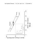 Composition for Preventing and Treating Vision Deterioration and     Age-Related Macular Degeneration through Retinal Repair Using Ginseng/Red     Ginseng Extracts and Ginsenoside diagram and image