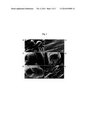 NOVEL SECONDARY STRUCTURE OF CARBON NANOSTRUCTURE, BUNDLE THEREOF AND     COMPOSITE COMPRISING SAME diagram and image