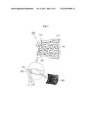 NOVEL SECONDARY STRUCTURE OF CARBON NANOSTRUCTURE, BUNDLE THEREOF AND     COMPOSITE COMPRISING SAME diagram and image