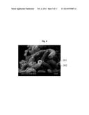 NOVEL SECONDARY STRUCTURE OF CARBON NANOSTRUCTURE, BUNDLE THEREOF AND     COMPOSITE COMPRISING SAME diagram and image