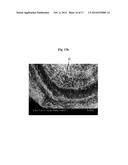 NOVEL SECONDARY STRUCTURE OF CARBON NANOSTRUCTURE, BUNDLE THEREOF AND     COMPOSITE COMPRISING SAME diagram and image