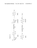 HYDROLASE ENZYME SUBSTRATES AND USES THEREOF diagram and image