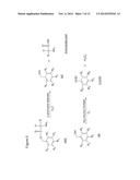 HYDROLASE ENZYME SUBSTRATES AND USES THEREOF diagram and image