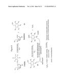 HYDROLASE ENZYME SUBSTRATES AND USES THEREOF diagram and image