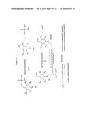 HYDROLASE ENZYME SUBSTRATES AND USES THEREOF diagram and image