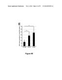 METHODS AND KITS FOR DIAGNOSING AND/OR PROGNOSING OSTEOARTHRITIS diagram and image