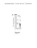METHODS AND KITS FOR DIAGNOSING AND/OR PROGNOSING OSTEOARTHRITIS diagram and image