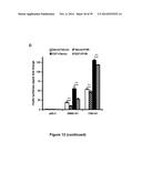 METHODS AND KITS FOR DIAGNOSING AND/OR PROGNOSING OSTEOARTHRITIS diagram and image