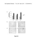 METHODS AND KITS FOR DIAGNOSING AND/OR PROGNOSING OSTEOARTHRITIS diagram and image