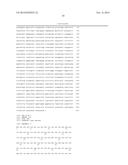 METHODS AND KITS FOR DIAGNOSING AND/OR PROGNOSING OSTEOARTHRITIS diagram and image