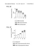 CERAMIDE DERIVATIVE AND GOLGI APPARATUS-LABELING FLUORESCENT PROBE USING     SAME diagram and image