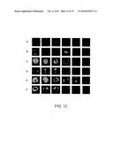 SCREENING FOR NITROGEN FIXATION diagram and image