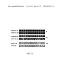 SCREENING FOR NITROGEN FIXATION diagram and image