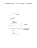 CLOSED NUCLEIC ACID STRUCTURES diagram and image