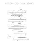 CLOSED NUCLEIC ACID STRUCTURES diagram and image