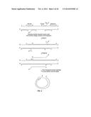 CLOSED NUCLEIC ACID STRUCTURES diagram and image