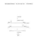 CLOSED NUCLEIC ACID STRUCTURES diagram and image