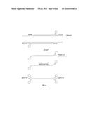 CLOSED NUCLEIC ACID STRUCTURES diagram and image