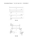 CLOSED NUCLEIC ACID STRUCTURES diagram and image