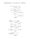 CLOSED NUCLEIC ACID STRUCTURES diagram and image