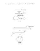 CLOSED NUCLEIC ACID STRUCTURES diagram and image